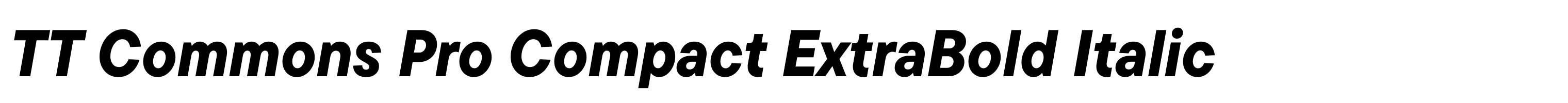 TT Commons Pro Compact ExtraBold Italic